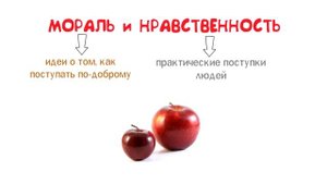 Мораль. Гуманизм. Патриотизм, гражданственность ? ОГЭ по обществознанию без репетитора