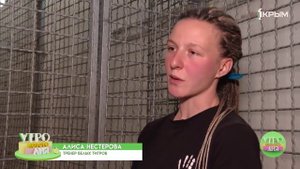 Как происходит подготовка к выступлениям артистов цирка