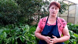 Почему цыплята садятся на ноги. Причины и решение проблемы.