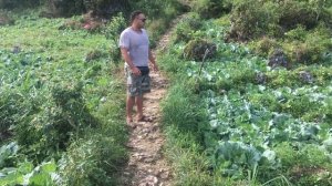 Путешествие Филиппины  остров Себу. Осматриваем достопримечательности. Русские идут.