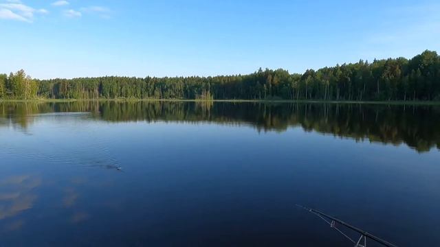 КАК Я ЛОВЛЮ СУДАКА и ВЫСТАВЛЯЮСЬ НА ТОЧКУ с КАТЕРА SILVER SHARK 580. УТРОМ ЛУЧШЕ🎣💯!!! смотреть онлайн