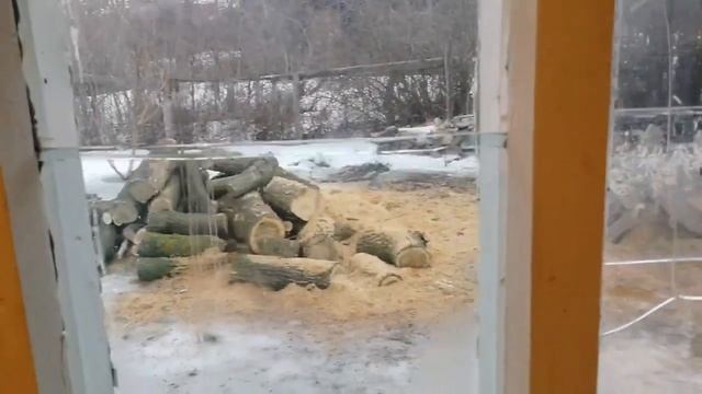 Цены в деревенском магазине я обалдела Обычные будни женщины в деревне, я мечтаю