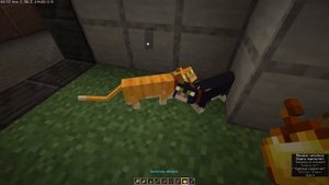 КАК ВЫПОЛНИТЬ АЧИВКУ Счастливый фермер / Minecraft blazeandcaves datapack