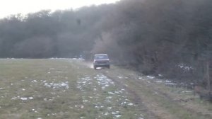 Адыгэш(Кабардинская порода лошадей)