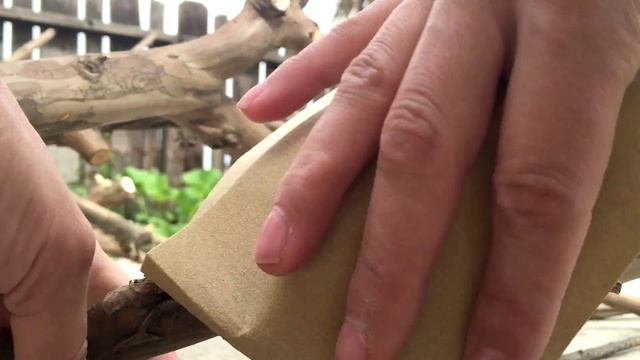 Tree Branch Decor смотреть онлайн