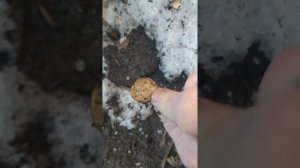 нашёл деньги на улице в Москве, россыпью на таящем снегу