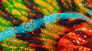 Демо видео 4к (UltraHD) от Sony