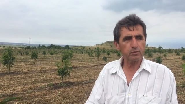 Сколько нужно человек для обработки 10 гектар Орехового сада? смотреть онлайн