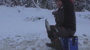 Рыбалка 2020.Ловля хариуса зимой на таёжной реке.Республика Коми.