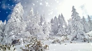 Футаж Зимний пейзаж 6