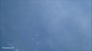 Голуби - Хор Покрово-Тервенического женского монастыря