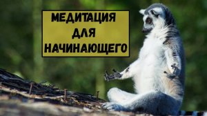 Медитация для начинающего. Как правильно медитировать?