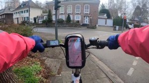 POV: Flink grocery delivery in Germany.