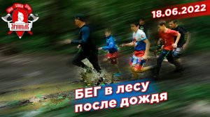 Бег в лесу после дождя, Шадриков Илья, город Красногорск, 18.06.2022 г.