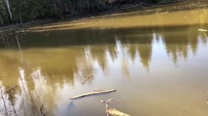 2019-05 озеро лесное большое