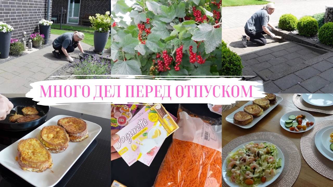 VLOG🇩🇪: ДЕЛА НА УЧАСТКЕ/ГОТОВЛЮ ЗАВТРАК 🍳 ПОЕХАЛА В МАГАЗИН ЗА СОЛОМОЙ 🐹