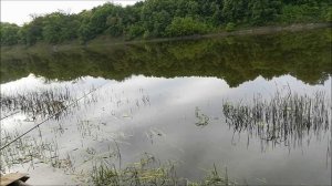 Рыбалка на Дону в районе Нижнего Икорца, Лискинский район, 24.05. 2021