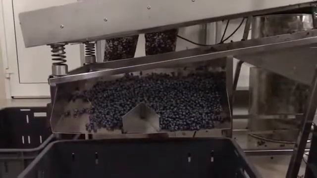 Гребнеотделитель для винограда с сортировкой ягод смотреть онлайн