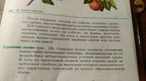 Биология Пасечник 6 класс 5 параграф