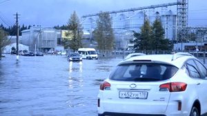 Зато стадион построили.Ч.2.Рощино, Ленинградская область.