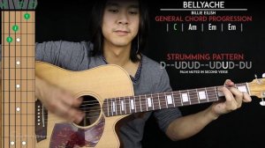 Bellyache Guitar Cover Acoustic - Billie Eilish 🎸 |Tabs + Chords|