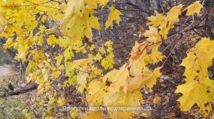 Парк отель Берёзки