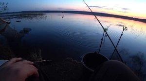 Вторая Рыбалка на Чесночные Пуфики! Рыбалка с Ночевкой на Чигиринском Водохранилище. Лещ на Фидер.