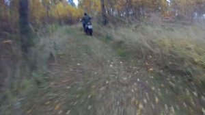 BSE KIDS PRO-90 // Детский питбайк // Mini motorcycle