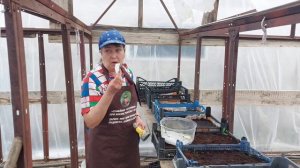 Посев семян на рассаду 2022г./Секреты при посеве семян для быстрого входа и отличного роста