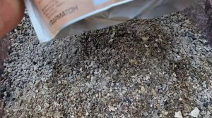 Наших Голубей хотят Потравить или не пойму Что?