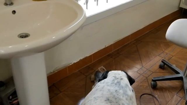 "Micky" - Live long and prosper! смотреть онлайн