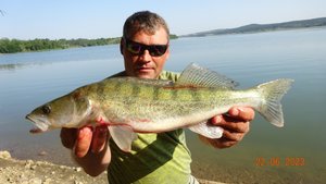 Судак- Щука НА ЖИВЦА.