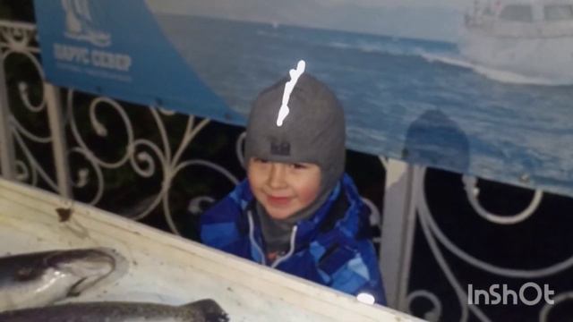 В СРБ Парус Север 👍👍👍 смотреть онлайн