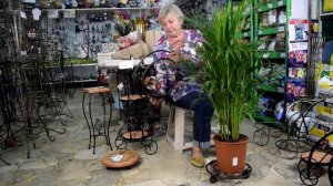 Кованые подставки под цветы на колесах. Напольные деревянные подставки для цветов