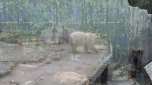 Далянь.Экскурсии.