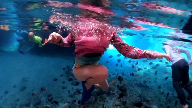 Swimming Deep in the Ocean Caves in the Bahamas смотреть онлайн