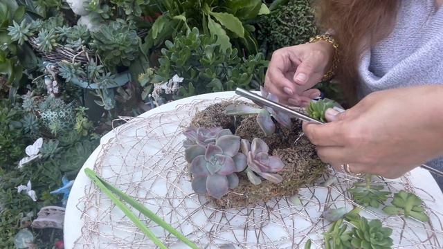 𝐒𝐮𝐜𝐜𝐮𝐥𝐞𝐧𝐭 𝐀𝐫𝐫𝐚𝐧𝐠𝐞𝐦𝐞𝐧𝐭 𝐢𝐧 𝐃𝐈𝐘 𝐇𝐞𝐚𝐫𝐭 𝐇𝐚𝐧𝐠𝐢𝐧𝐠 𝐏𝐥𝐚𝐧𝐭𝐞𝐫 смотреть онлайн