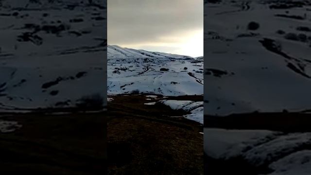 Туры по Чечне. Ноев Ковчег. Вечный причал.