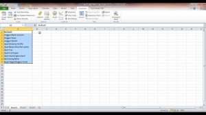 tutorial excel 2010 cara melakukan copy paste dinamis dengan record macro