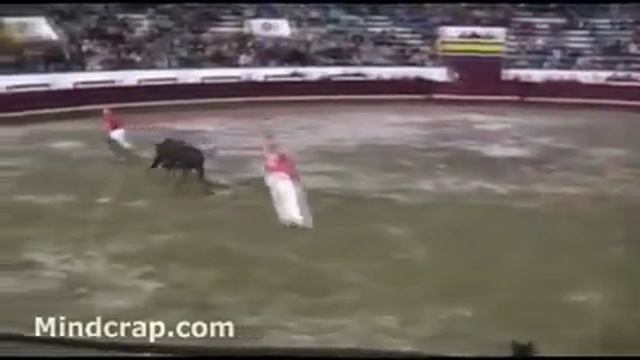 Быки атакуют! Ржака смотреть онлайн