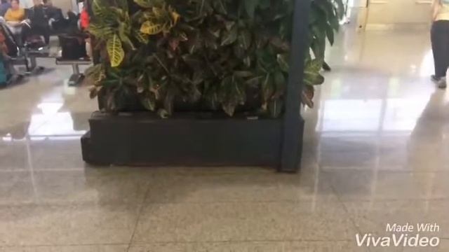 CATANIA-FONTANAROSSA AIRPORT (CTA), DUTY FREE &TAXI GATES смотреть онлайн