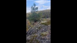 Кольский полуостров, Ура-Губа, Видяево 2023. Рыбачки