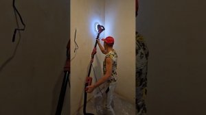 Китайский жираф.