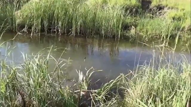 Рыбалка в Камагане   |  Куртамыш
