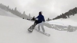 United Shapes Horizon Review