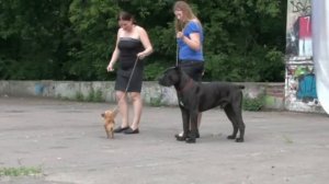 Master Class ( Handling )