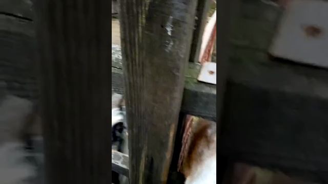 Мистер улыбка смотреть онлайн