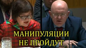 НЕБЕНЗЯ ОТРЕЗВИЛ ЗАПАД И ОБСЕ ПО ПОВОДУ УКРАИНЫ