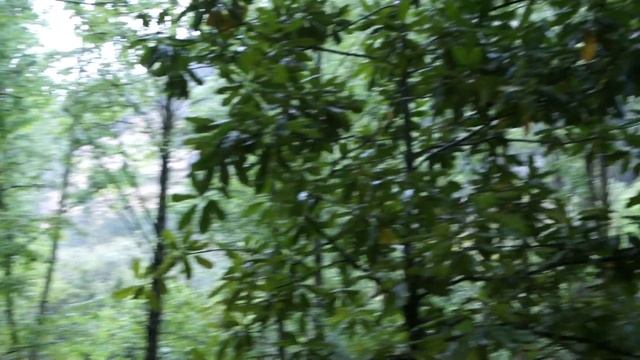 Горная река в Турции смотреть онлайн