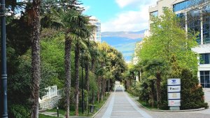 ? ПРИМОРСКИЙ ПАРК ГОРОДА ЯЛТА ? ? БЮВЕТ МИНЕРАЛЬНОЙ ВОДЫ ?